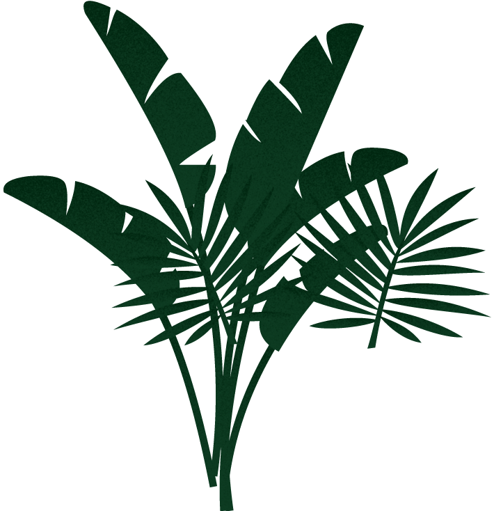 Plante de la jungle 2